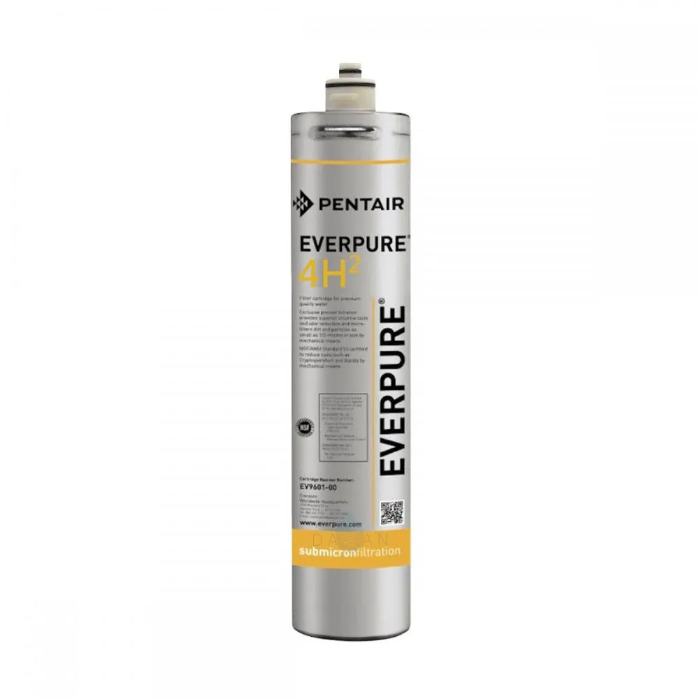 【Everpure 愛惠浦 平輸】4H2 活性碳濾心