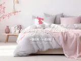兔寶森林床店||樹林床墊推薦||樹林買床墊||板橋床墊推薦||板橋買床墊||新北床墊推薦
