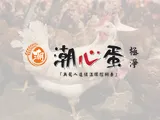 潮心蛋∥潮立畜牧場