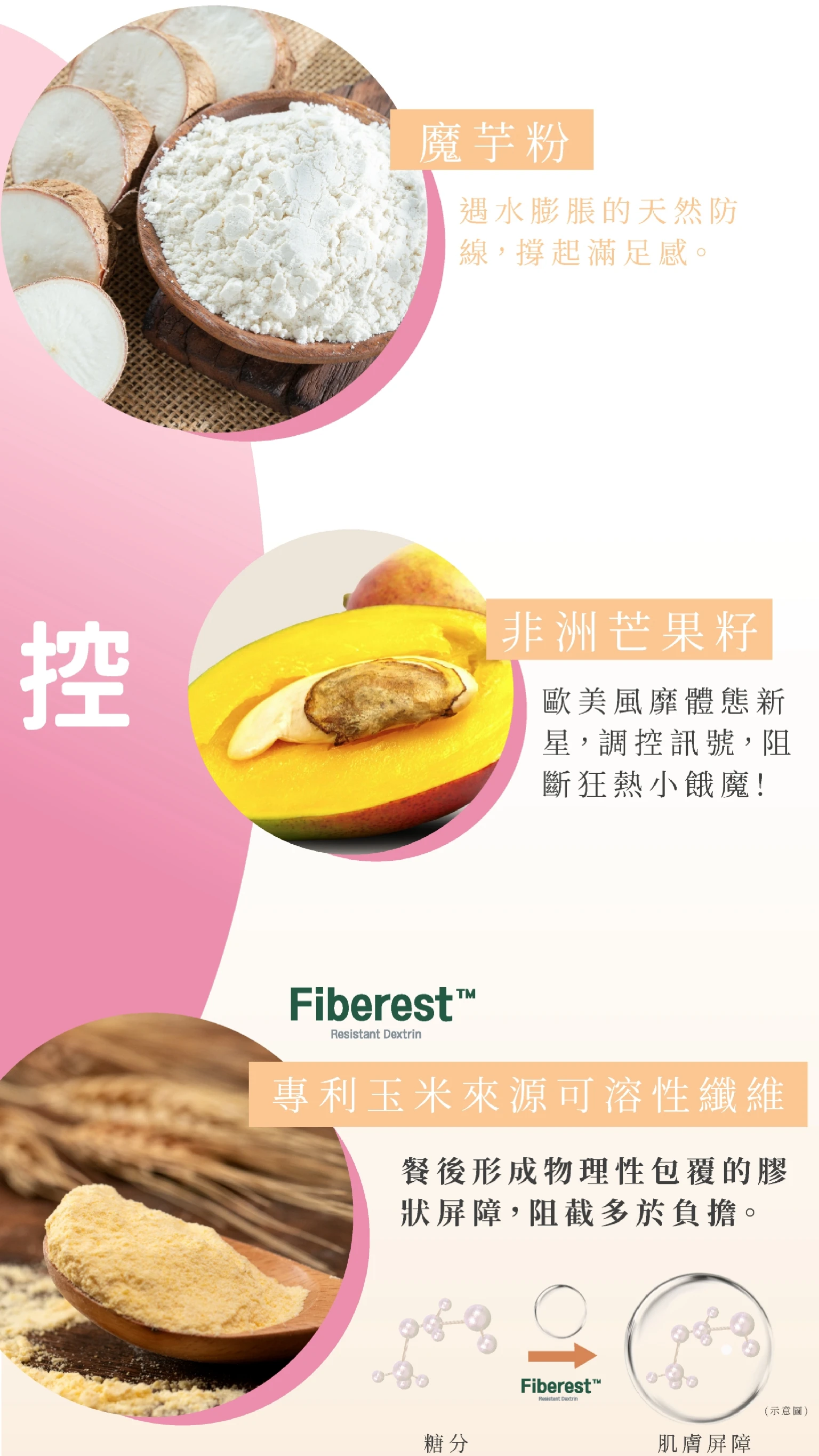 小纖多效膠囊