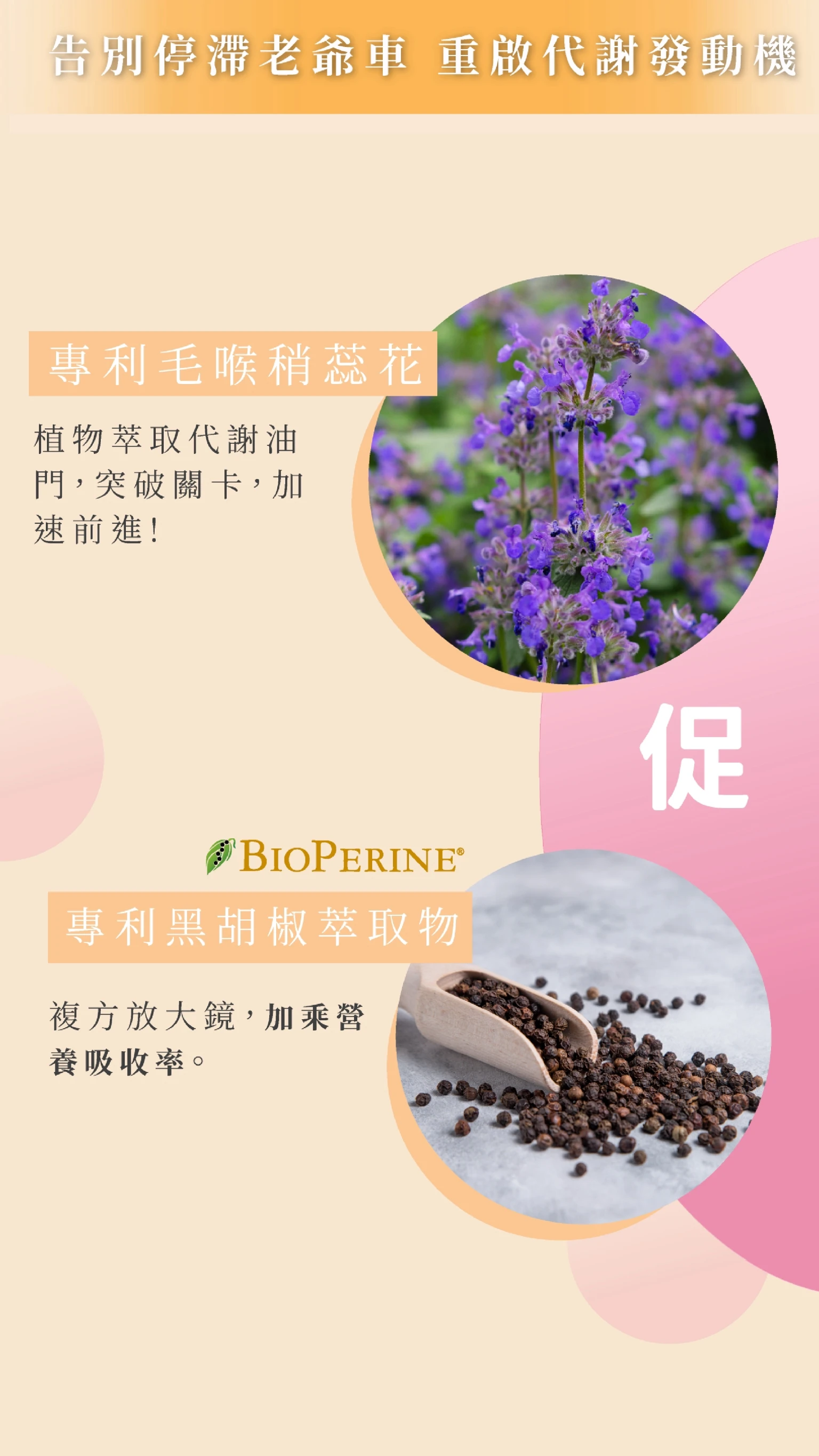 小纖多效膠囊