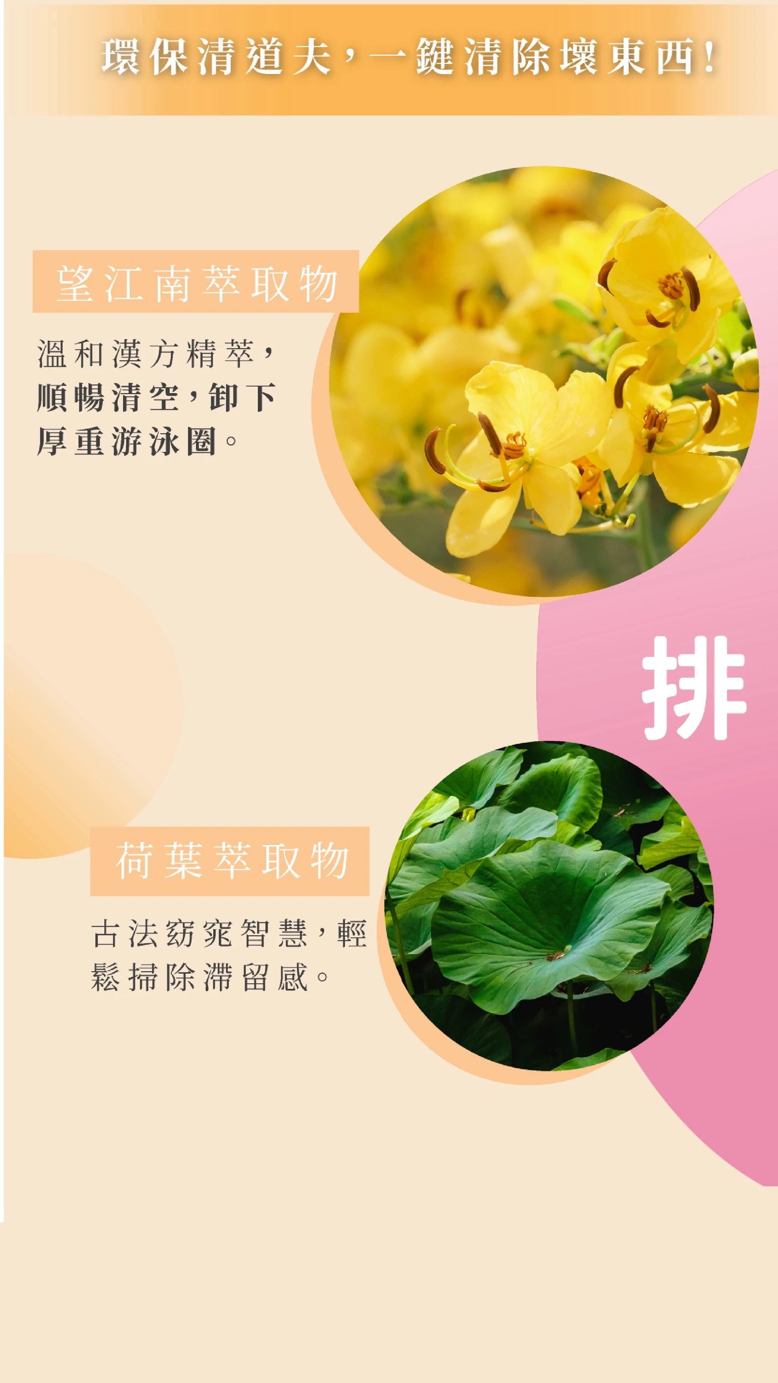 小纖多效膠囊