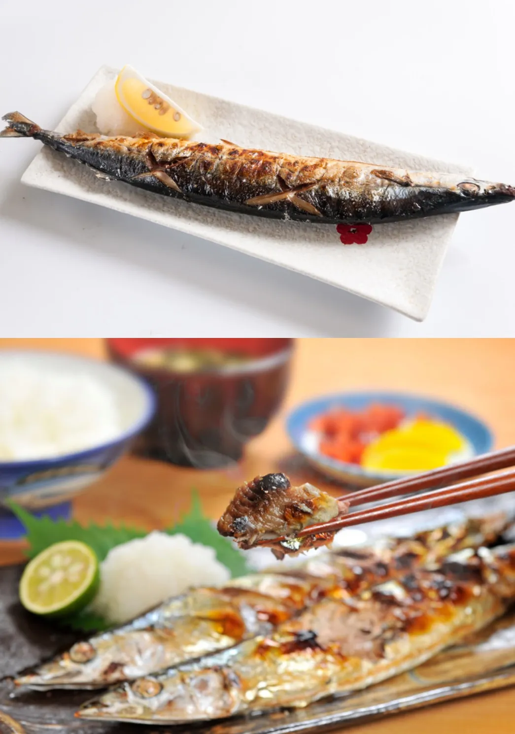 特大肥美1號秋刀魚