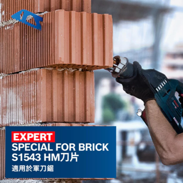 博世 BOSCH EXPERT S1543 HM刀片