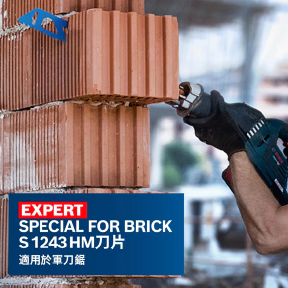 博世 BOSCH EXPERT S1243 HM刀片