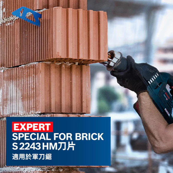 博世 BOSCH 2608900418 EXPERT S2243 HM刀片