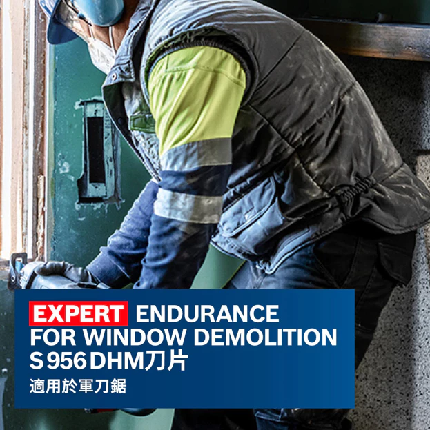 博世 BOSCH 2608900385 EXPERT S956 DHM刀片