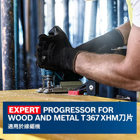 博世 BOSCH EXPERT T367 XHM刀片