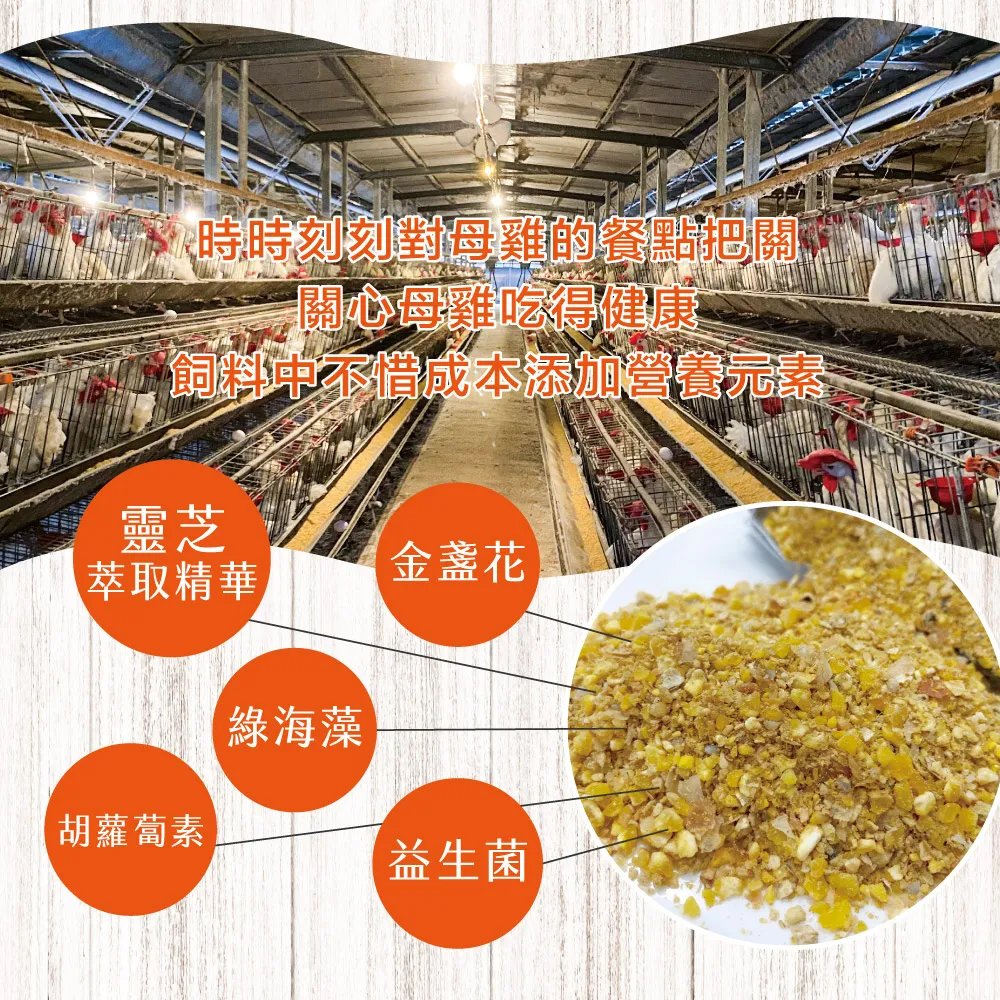 初品果x富立牧場 靈芝機能雞蛋白蛋/紅蛋/彩色蛋/30顆/60顆/90顆_48小時生產內的新鮮雞蛋