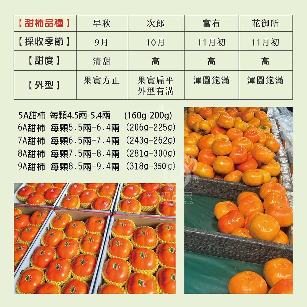 達觀部落甜柿大禮盒  預購8/21開始陸續出貨