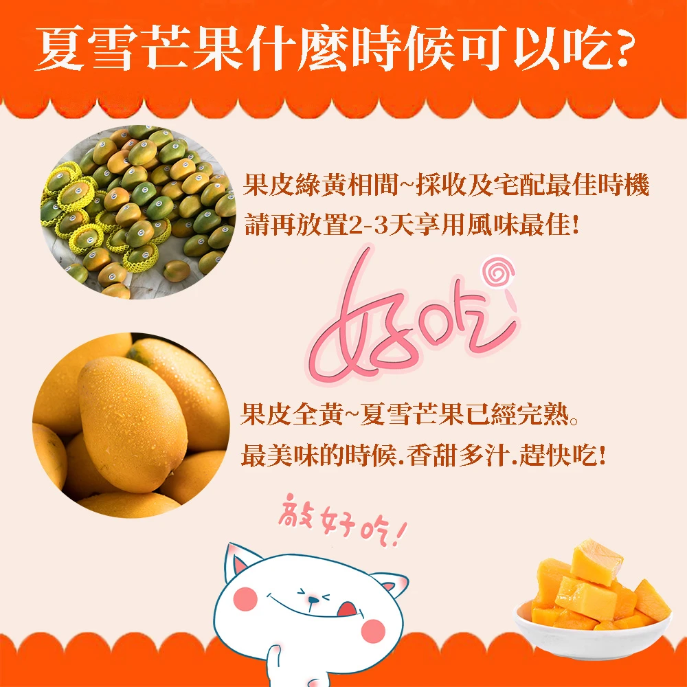 芒果界LV 台東夏雪芒果禮盒4斤4-8顆  D+7開始陸續出貨
