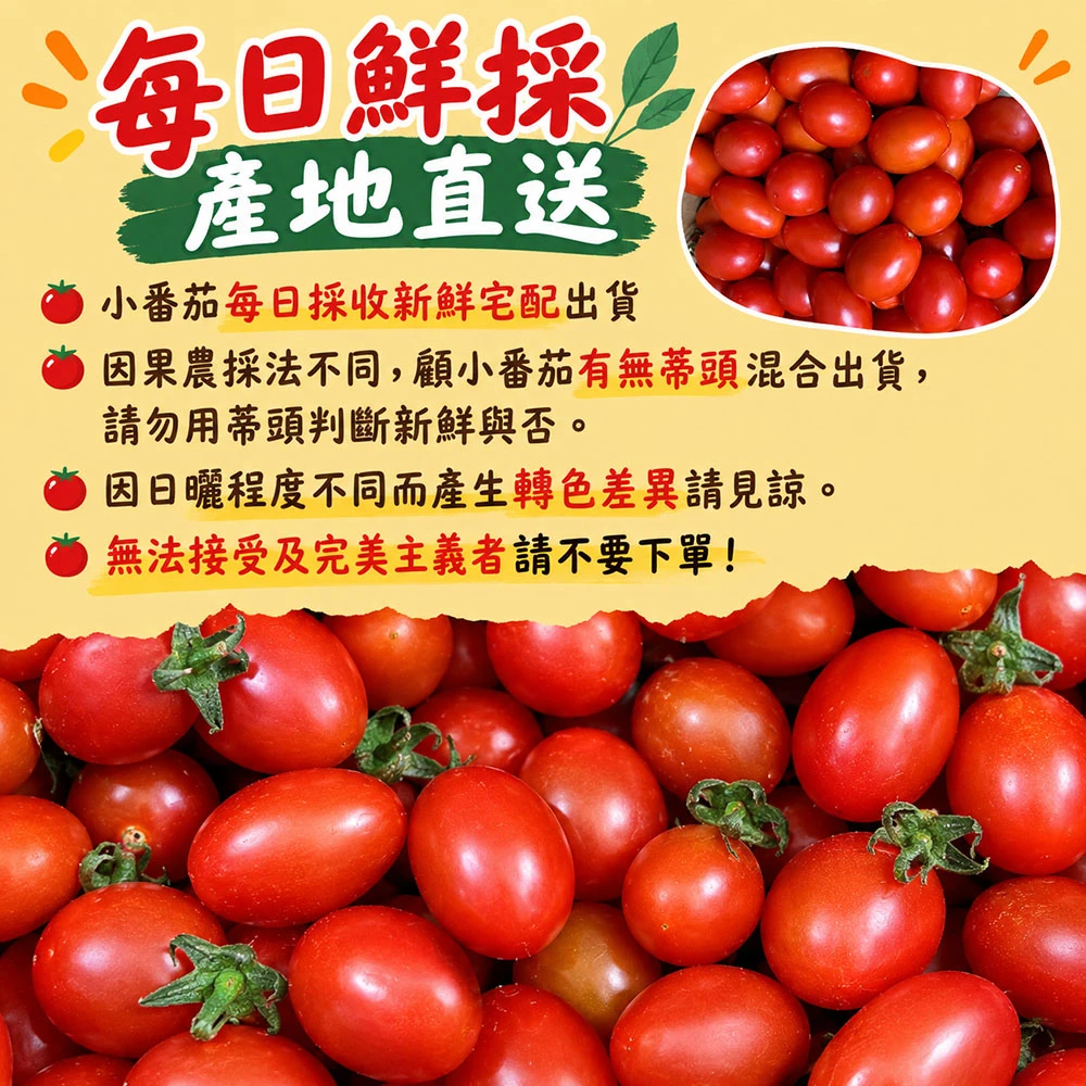 高雄美濃紅蜜小番茄禮盒3斤  1盒/2盒/4盒/8盒 預購12/15開始陸續出貨