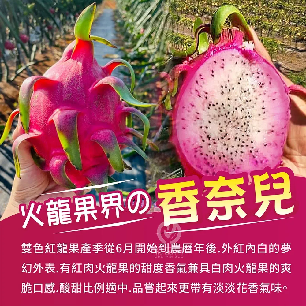 南投夢幻雙色火龍果6斤/10斤_如冰淇淋般甜蜜口感(預購6/10起開始陸續出貨)