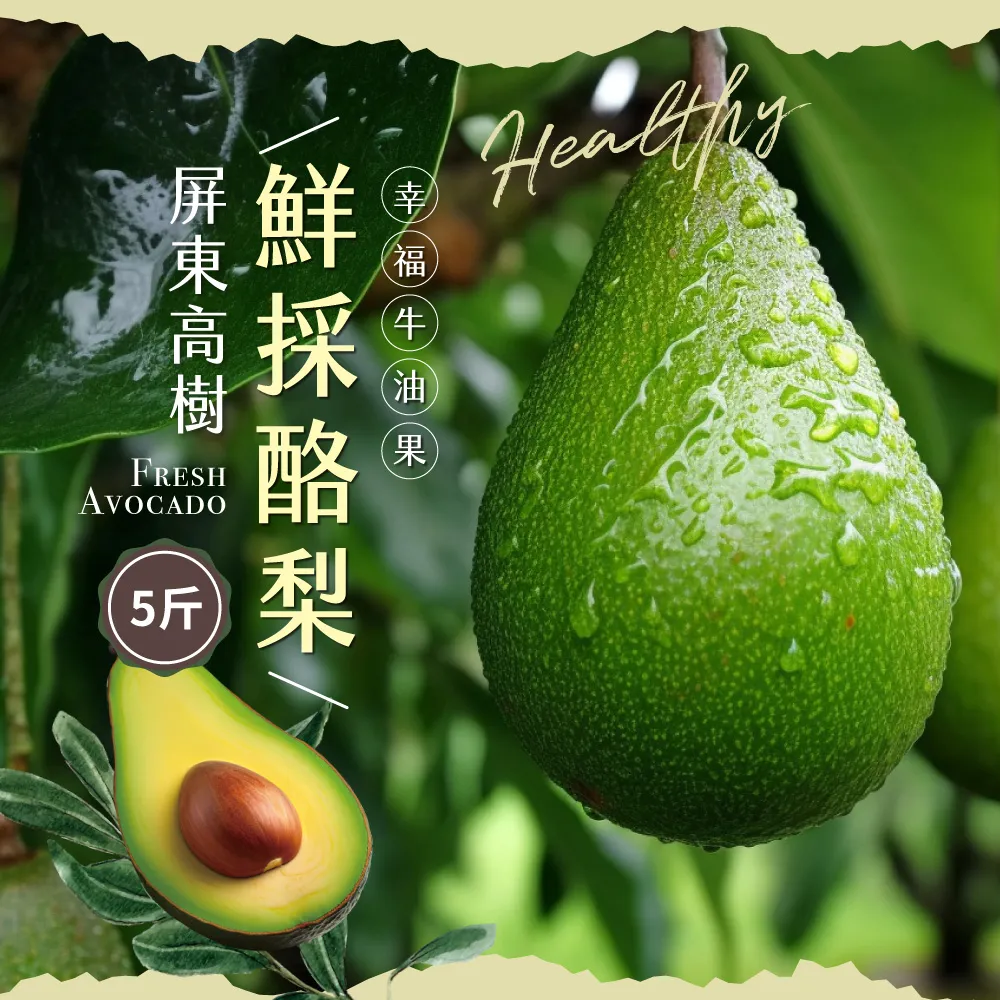 屏東高樹鮮採酪梨禮盒 5斤