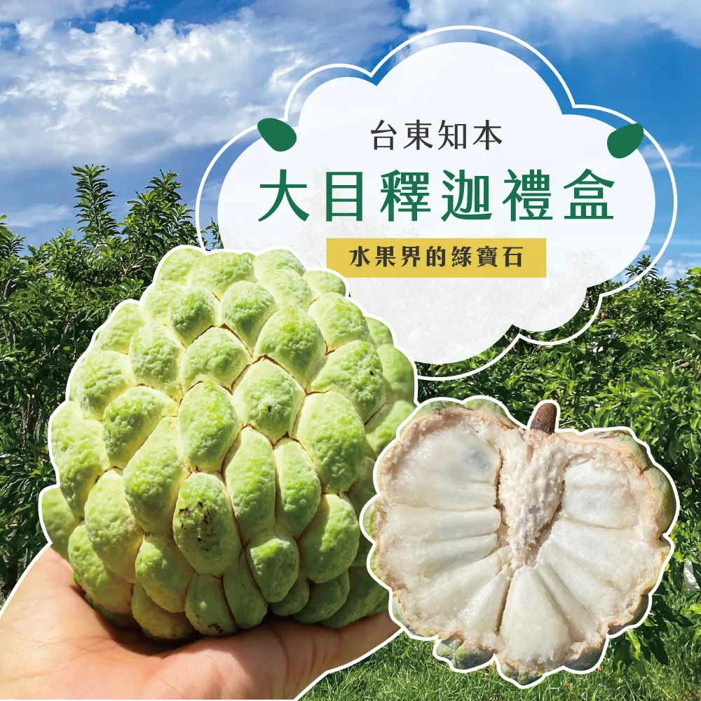 【降價挺一波】台東知本大目釋迦禮盒 下單後D+7工作天出貨