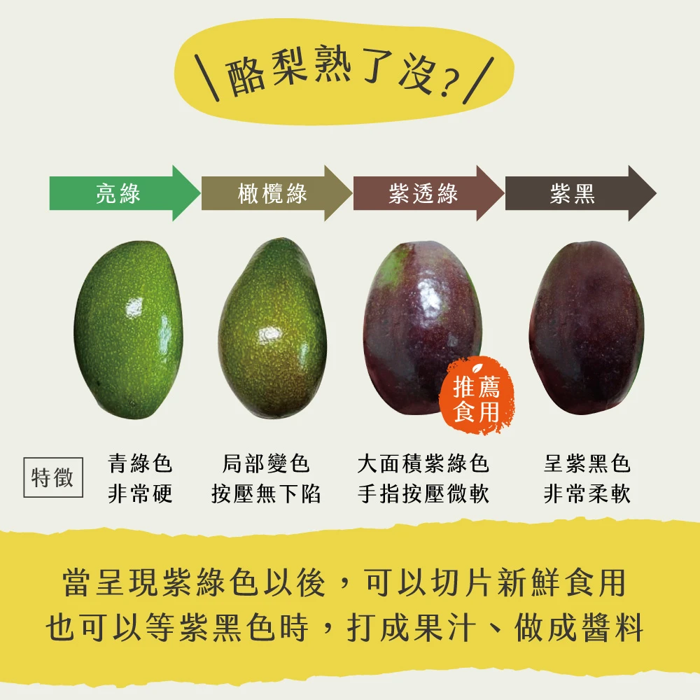 屏東高樹鮮採酪梨禮盒 5斤