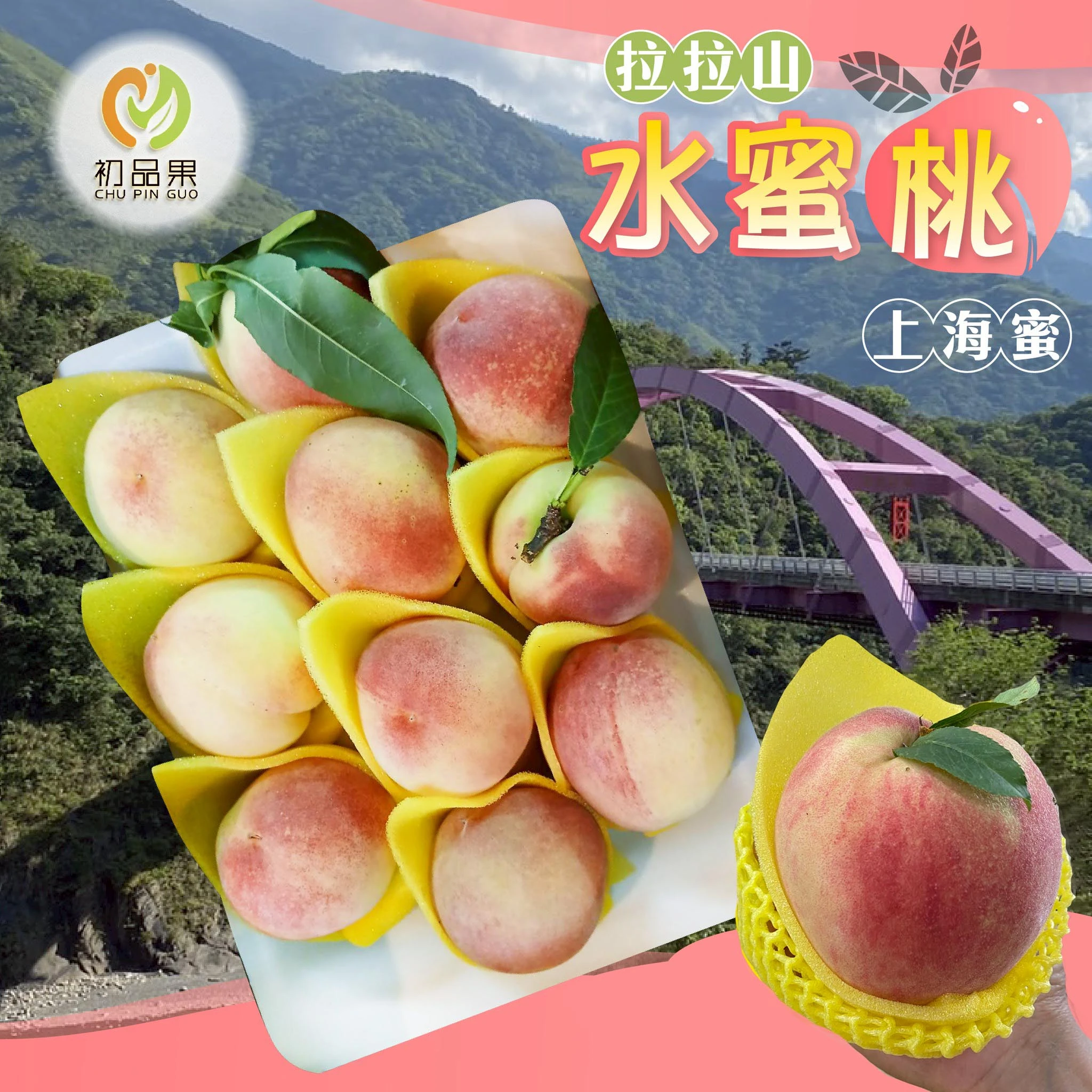 拉拉山上海蜜水蜜桃禮盒-預購D+7工作天出貨 最後接單8/10