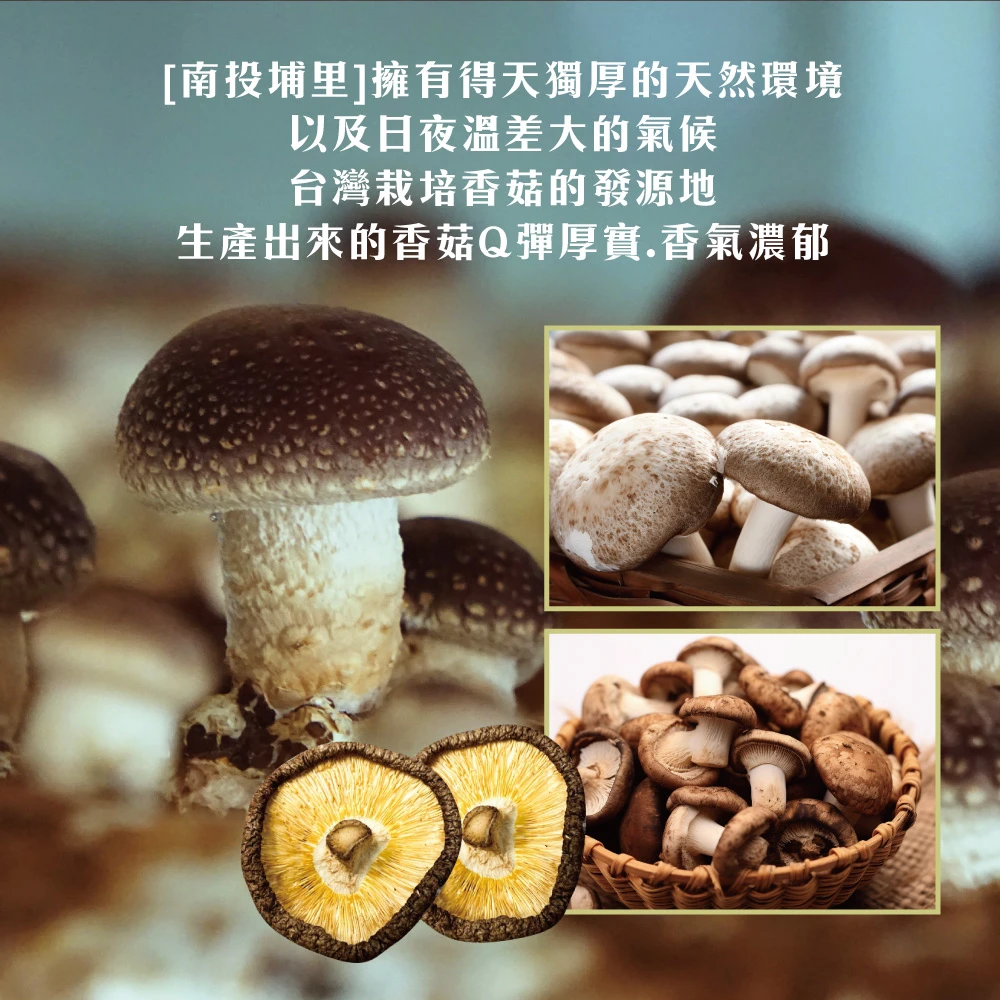 南投埔里正宗台灣香菇 (大香菇/小香菇/禮盒/袋裝)