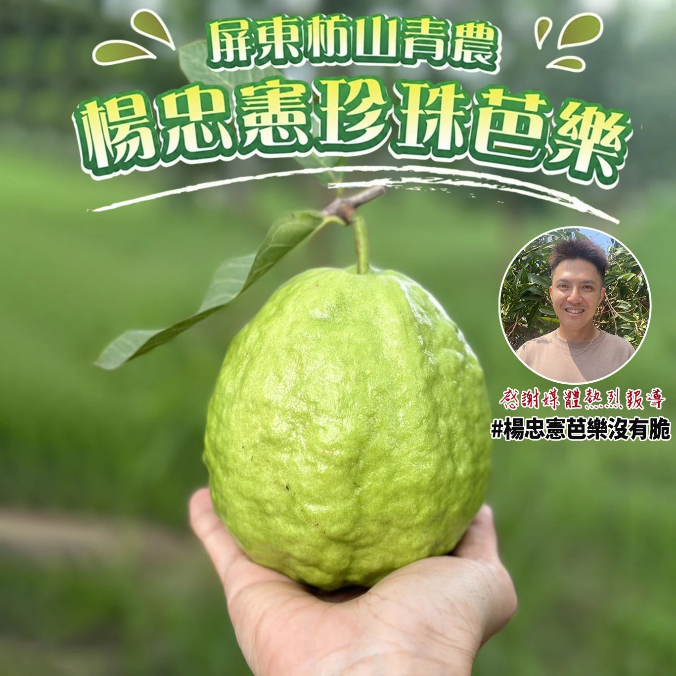 #楊忠憲芭樂沒有脆 屏東枋山青農楊忠憲珍珠芭樂禮盒(冷藏配送)-預購8/21開始陸續出貨