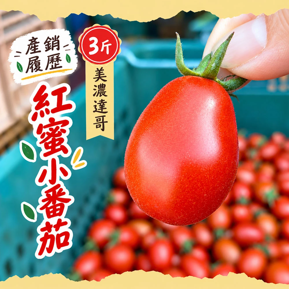 高雄美濃紅蜜小番茄禮盒3斤  1盒/2盒/4盒/8盒 預購12/15開始陸續出貨