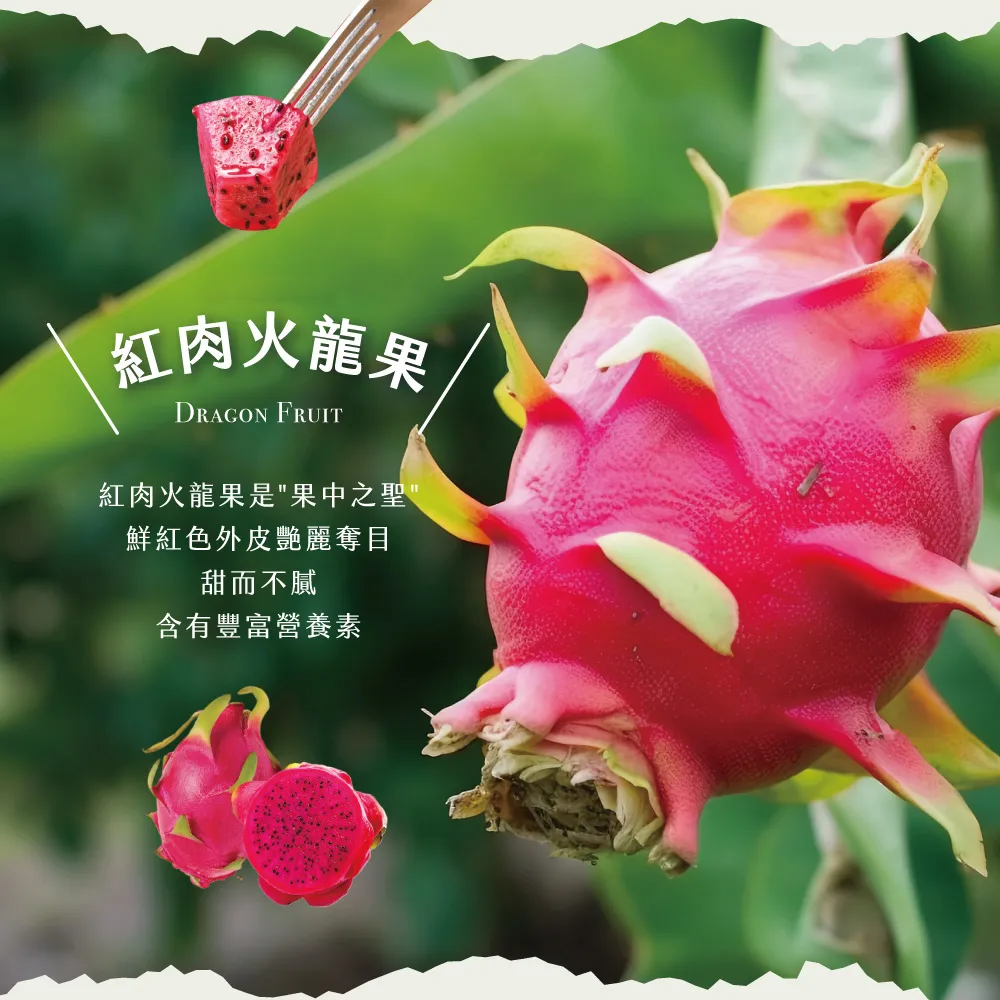 產地直送紅肉火龍果禮盒
