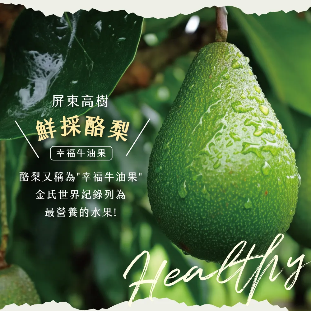屏東高樹鮮採酪梨禮盒 5斤