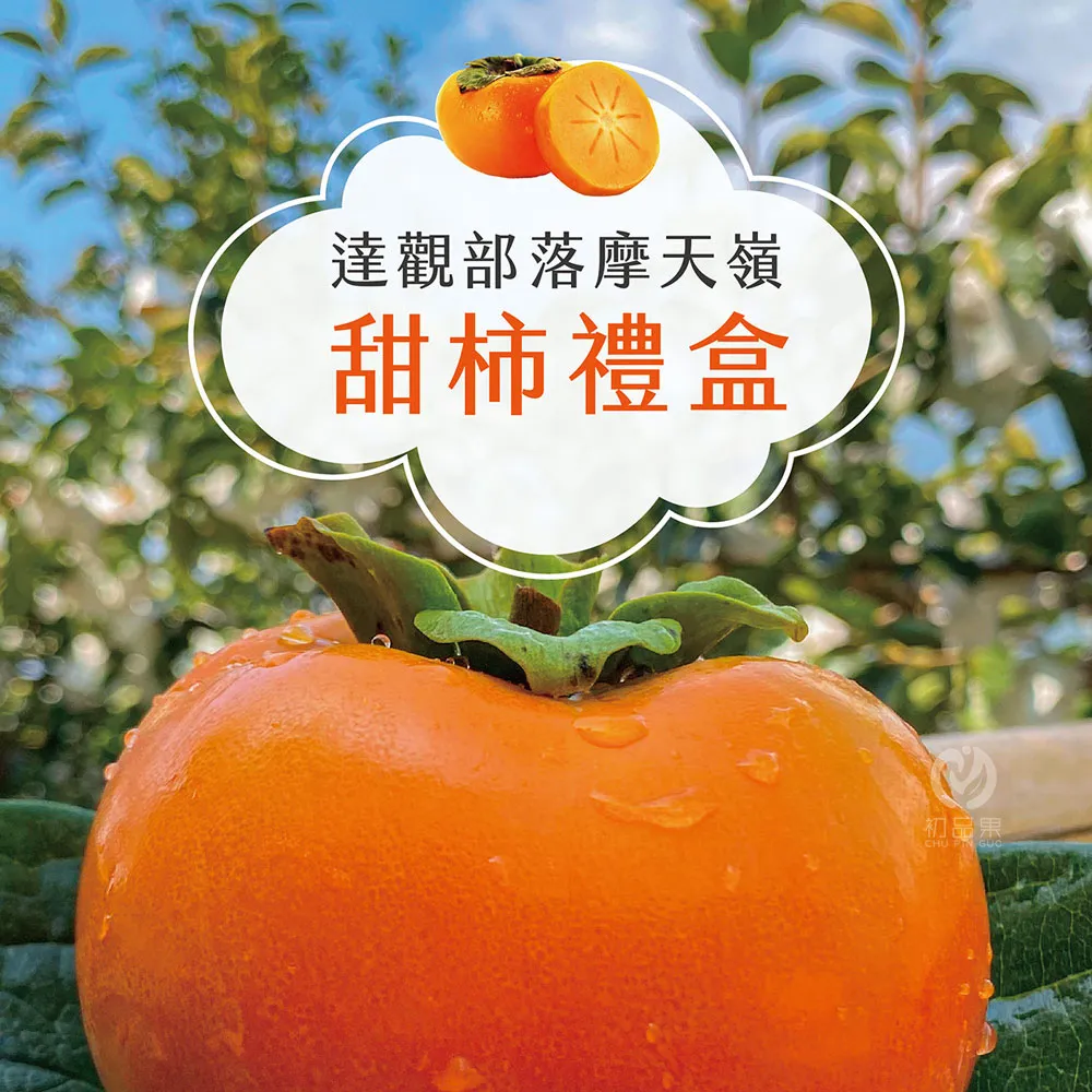 達觀部落甜柿大禮盒  預購8/21開始陸續出貨