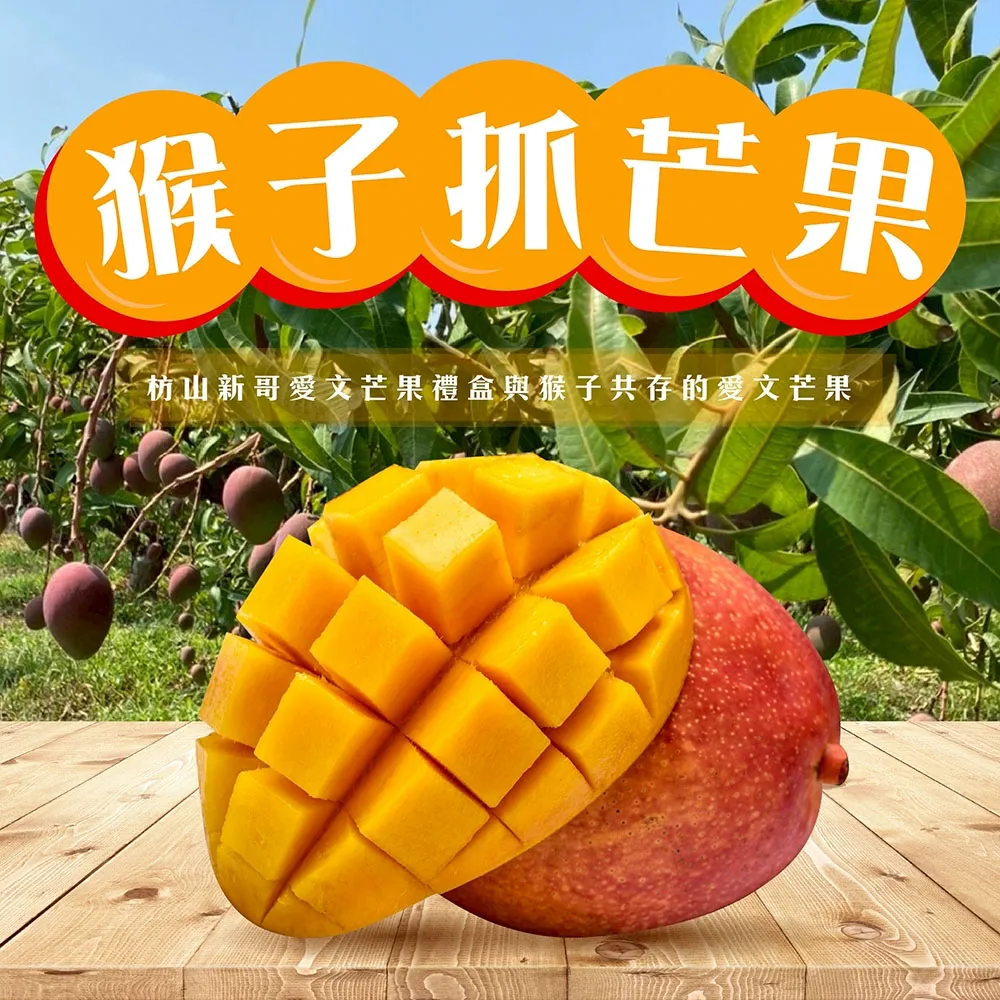 與獼猴和平共存的芒果【猴仔抓芒果】屏東枋山愛文芒果禮盒  4斤/8斤 (6/8-6/15陸續出貨)
