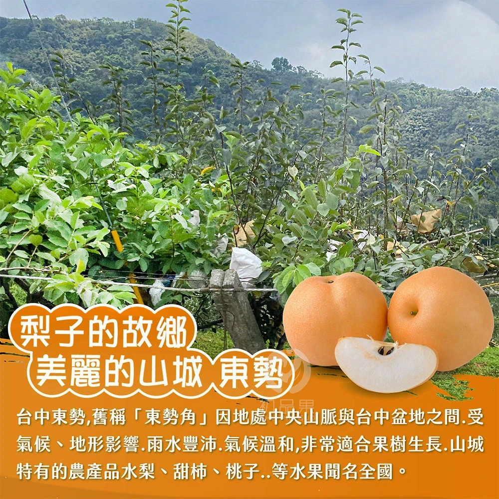 台灣寶島甘露梨禮盒2顆/盒(中秋禮盒/企業送禮/好友揪團/大量訂購) 8/1起開始陸續出貨
