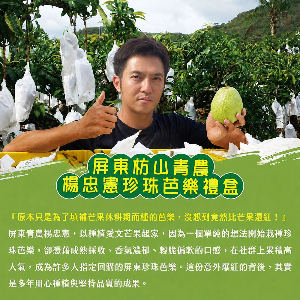 #楊忠憲芭樂沒有脆 屏東枋山青農楊忠憲珍珠芭樂禮盒(冷藏配送)-預購8/21開始陸續出貨