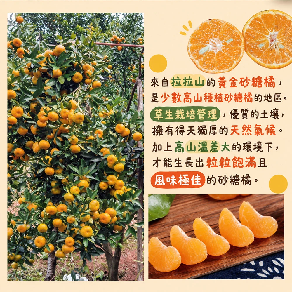 拉拉山砂糖橘禮盒3斤 1盒/2盒/4盒/8盒  預購12/15開始陸續出貨
