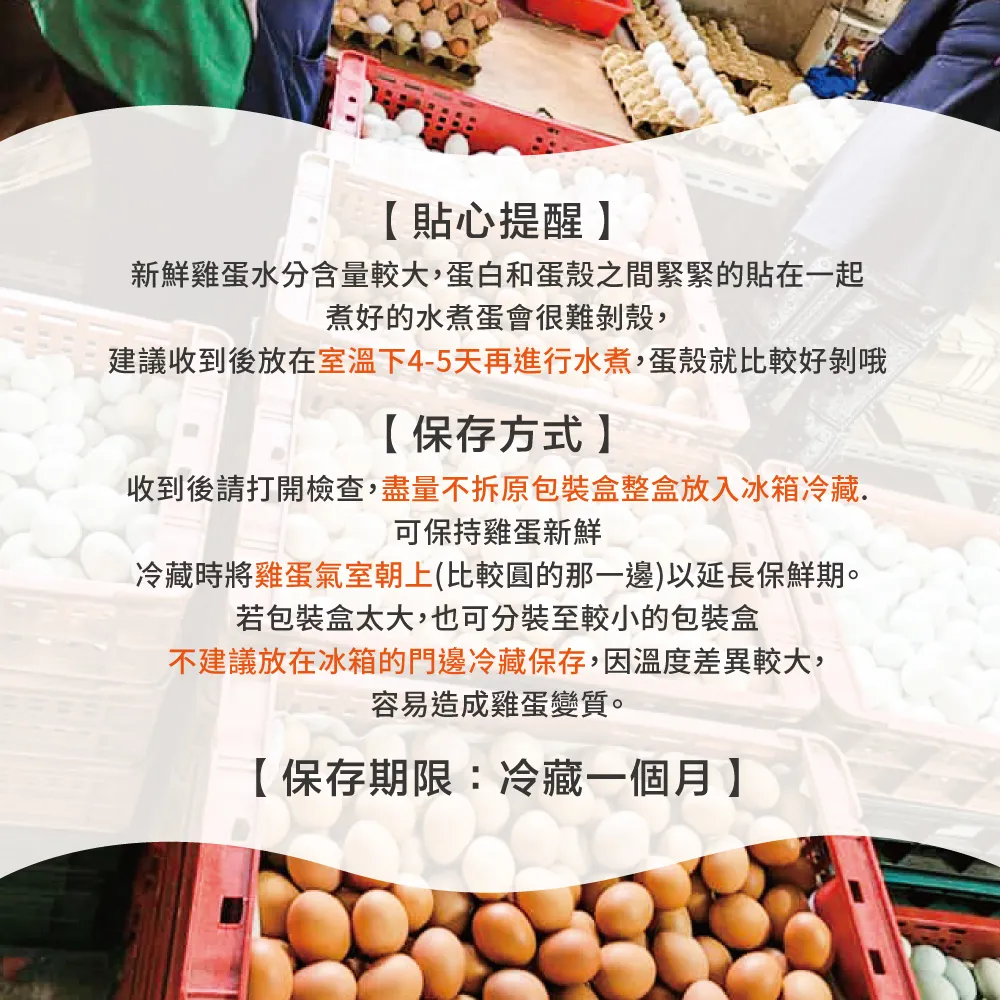 初品果x富立牧場 靈芝機能雞蛋白蛋/紅蛋/彩色蛋/30顆/60顆/90顆_48小時生產內的新鮮雞蛋