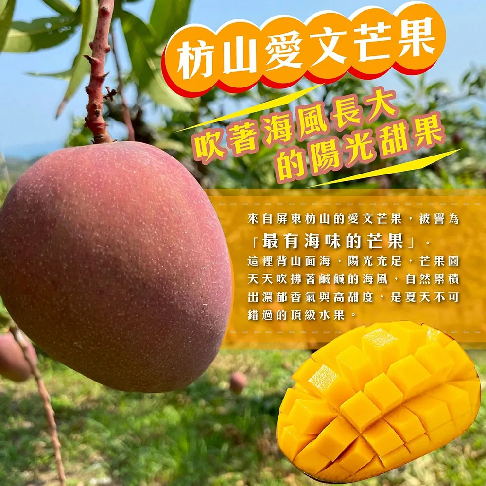 與獼猴和平共存的芒果【猴仔抓芒果】屏東枋山愛文芒果禮盒  4斤/8斤 (6/8-6/15陸續出貨)