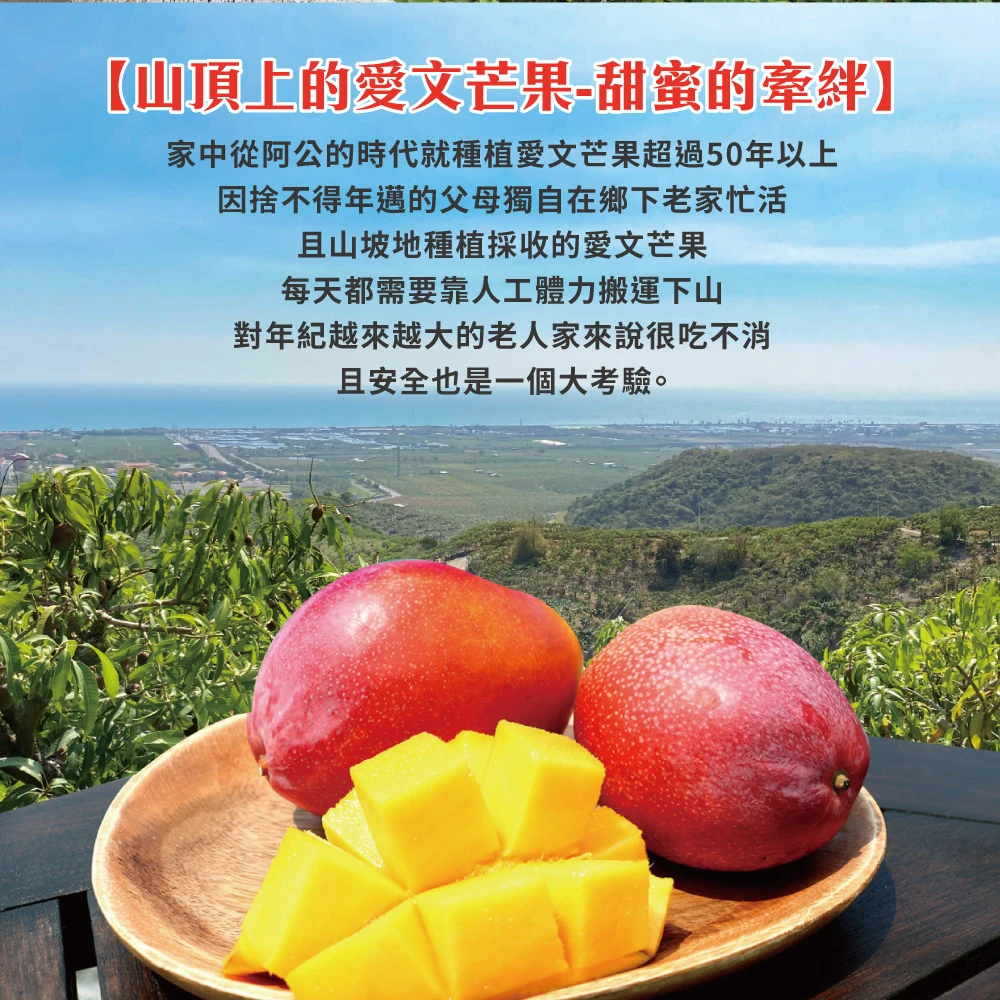 5/30-5/31脆友限定-楊忠憲愛文芒果(外銷大果) 10斤12-16顆x1箱