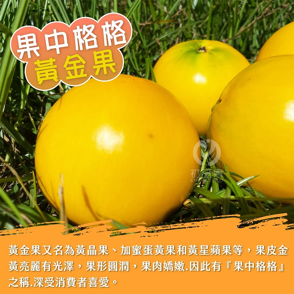 【產季結束 敬請期待】台東知本黃金果禮盒