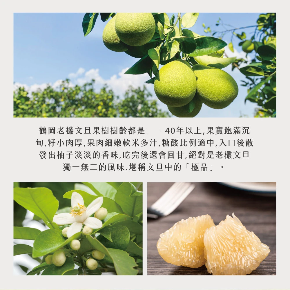 花蓮鶴岡老欉精品文旦禮盒  【歡迎企業大量訂購】-9/1開始陸續出貨