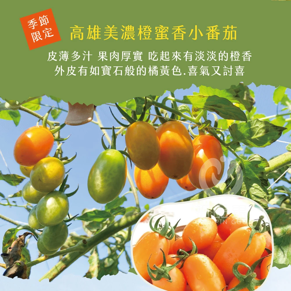 高雄美濃橙蜜香小番茄禮盒4斤  1盒/2盒/4盒/6盒  預購12/15開始陸續出貨