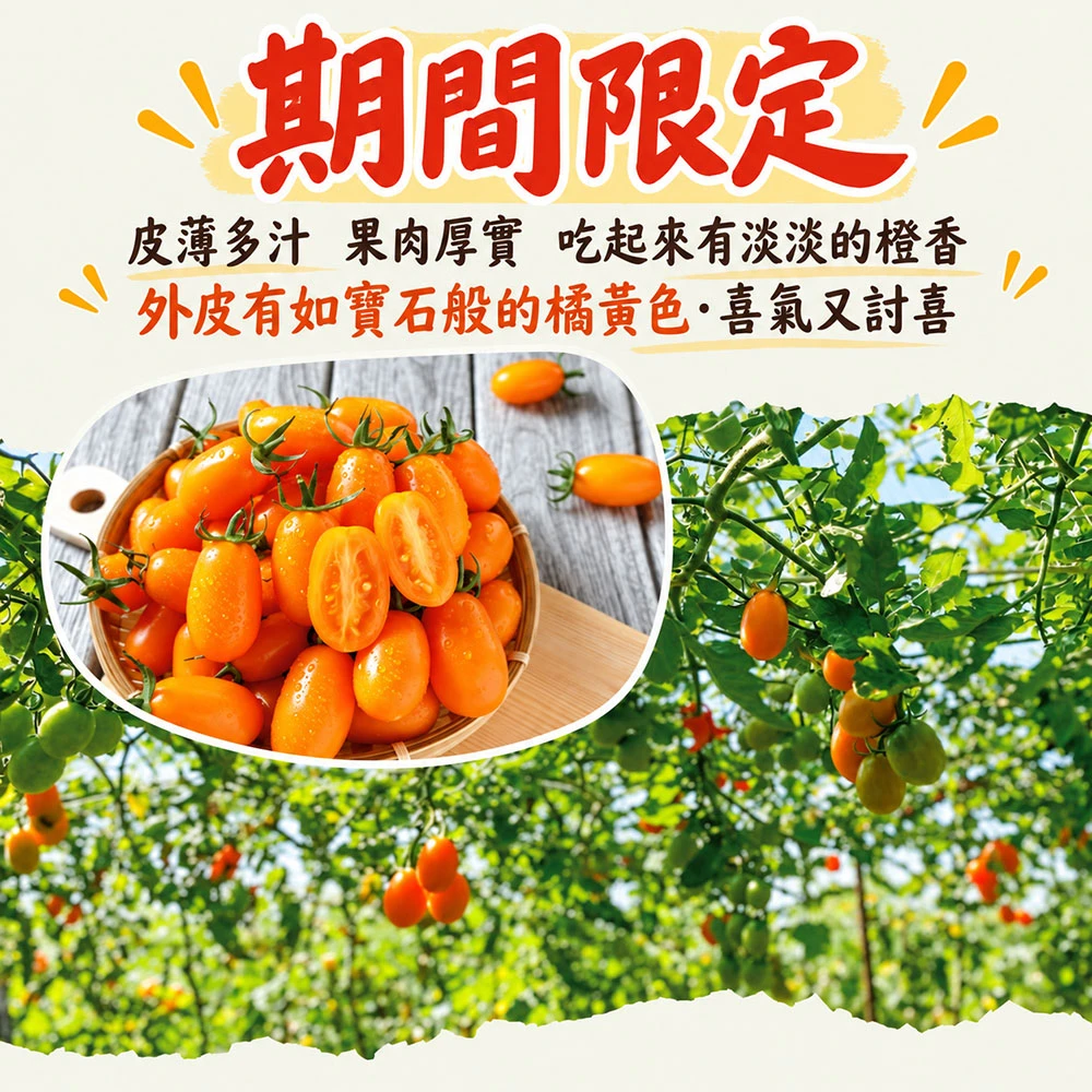 高雄美濃橙蜜香小番茄禮盒3斤  1盒/2盒/4盒/8盒   預購12/15開始陸續出貨