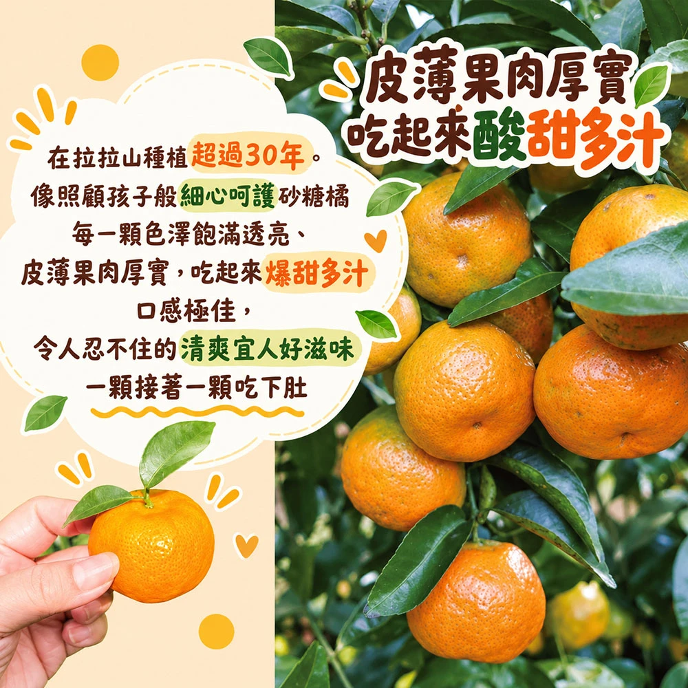 拉拉山砂糖橘禮盒3斤 1盒/2盒/4盒/8盒  預購12/15開始陸續出貨