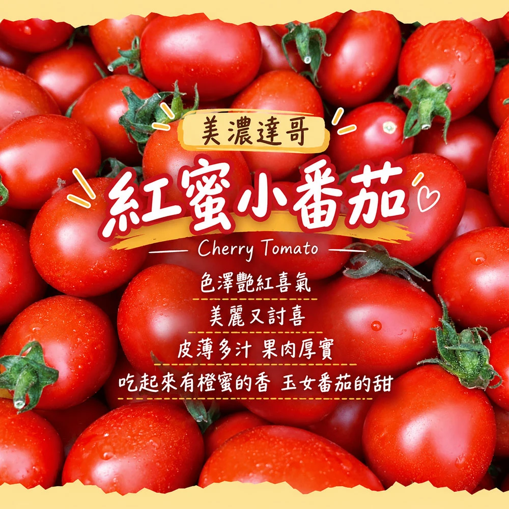 高雄美濃紅蜜小番茄禮盒3斤  1盒/2盒/4盒/8盒 預購12/15開始陸續出貨