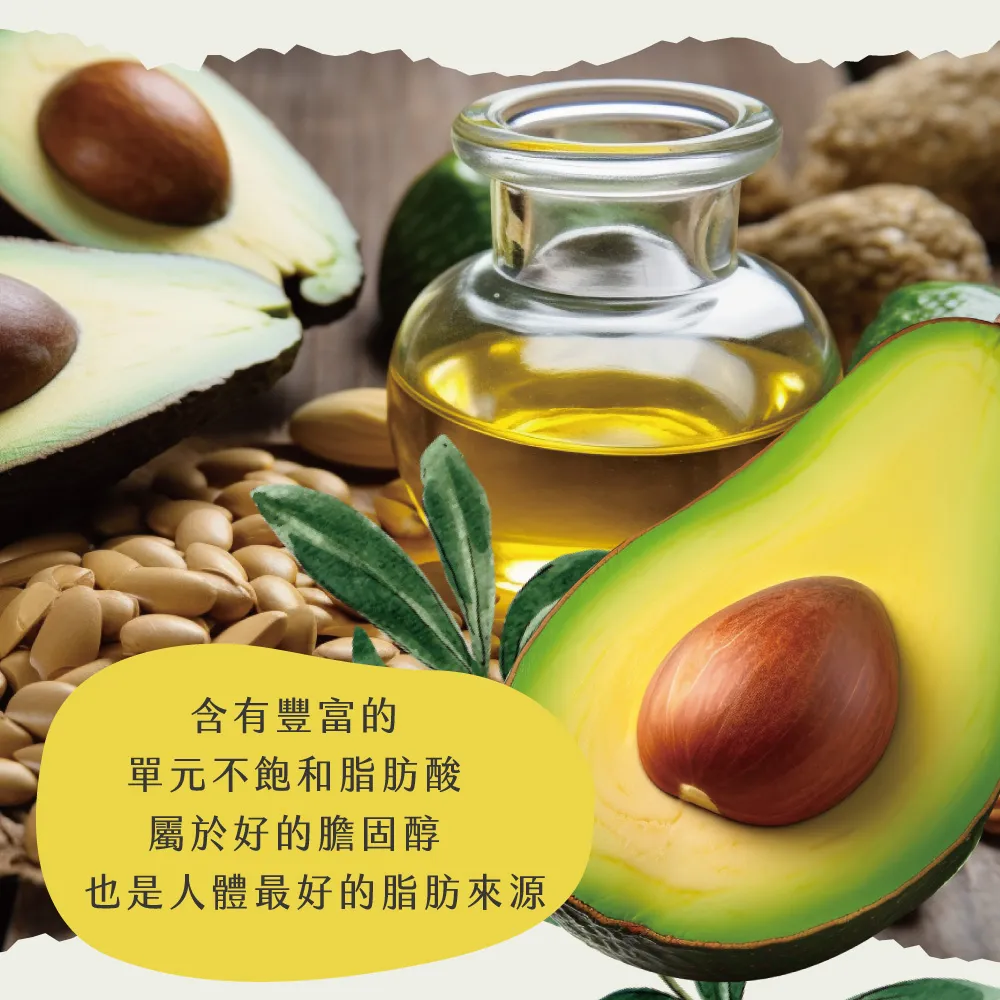 屏東高樹鮮採酪梨禮盒 5斤