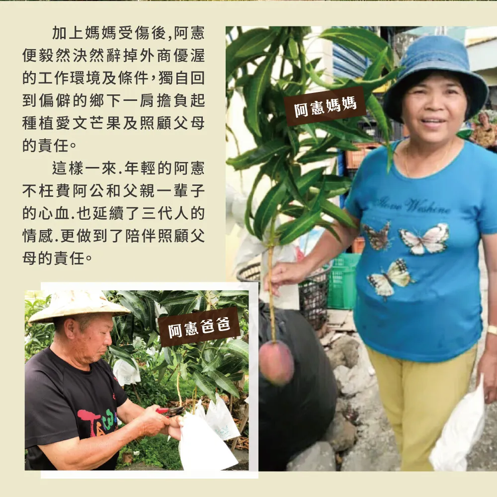 (屏東青農楊忠憲)枋山阿憲愛文芒果禮盒 10斤(6/9以前接單的都已經在排單出貨中了,6/10開始的訂單預計6/21-6/30才會開始陸續出貨喔)