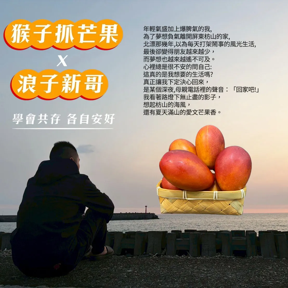 與獼猴和平共存的芒果【猴仔抓芒果】屏東枋山愛文芒果禮盒  4斤/8斤 (6/8-6/15陸續出貨)