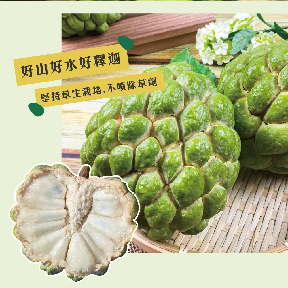 【降價挺一波】台東知本大目釋迦禮盒 下單後D+7工作天出貨