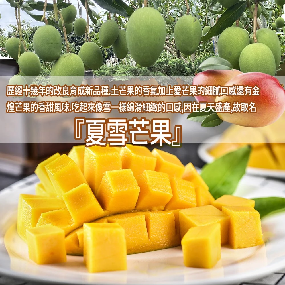 芒果界LV 台東夏雪芒果禮盒4斤4-8顆  D+7開始陸續出貨