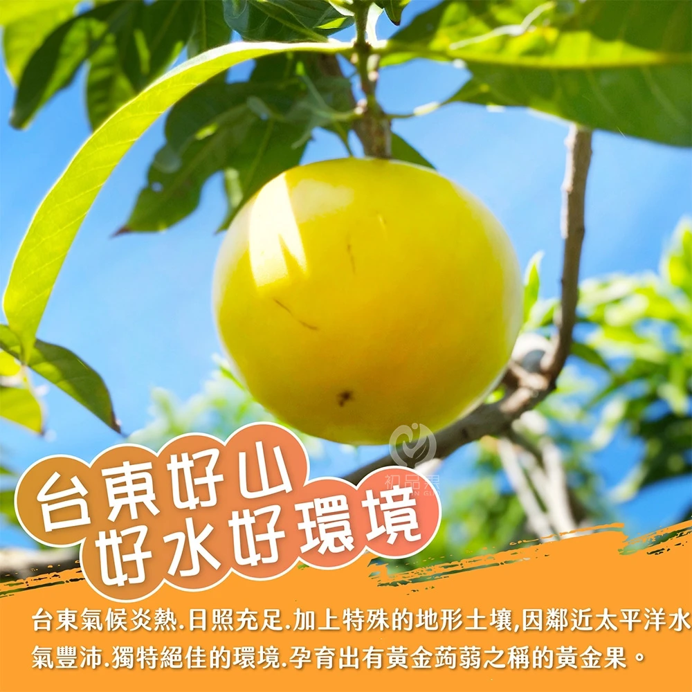 【產季結束 敬請期待】台東知本黃金果禮盒