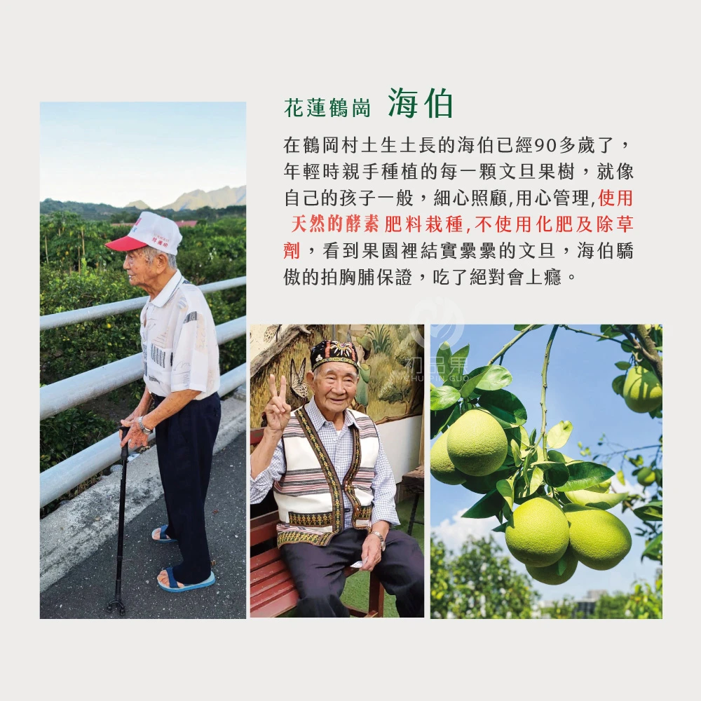 花蓮鶴岡老欉精品文旦禮盒  【歡迎企業大量訂購】-9/1開始陸續出貨