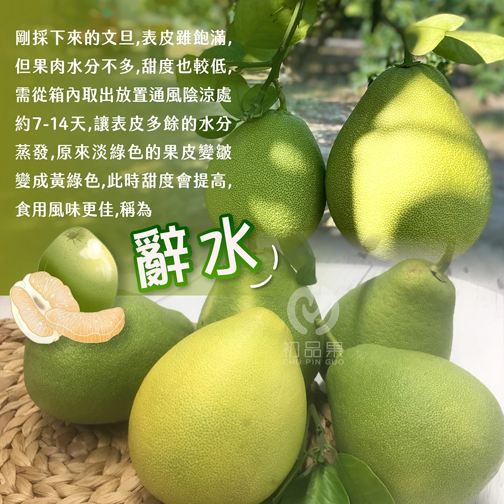產地直送NG惜福文旦10斤
