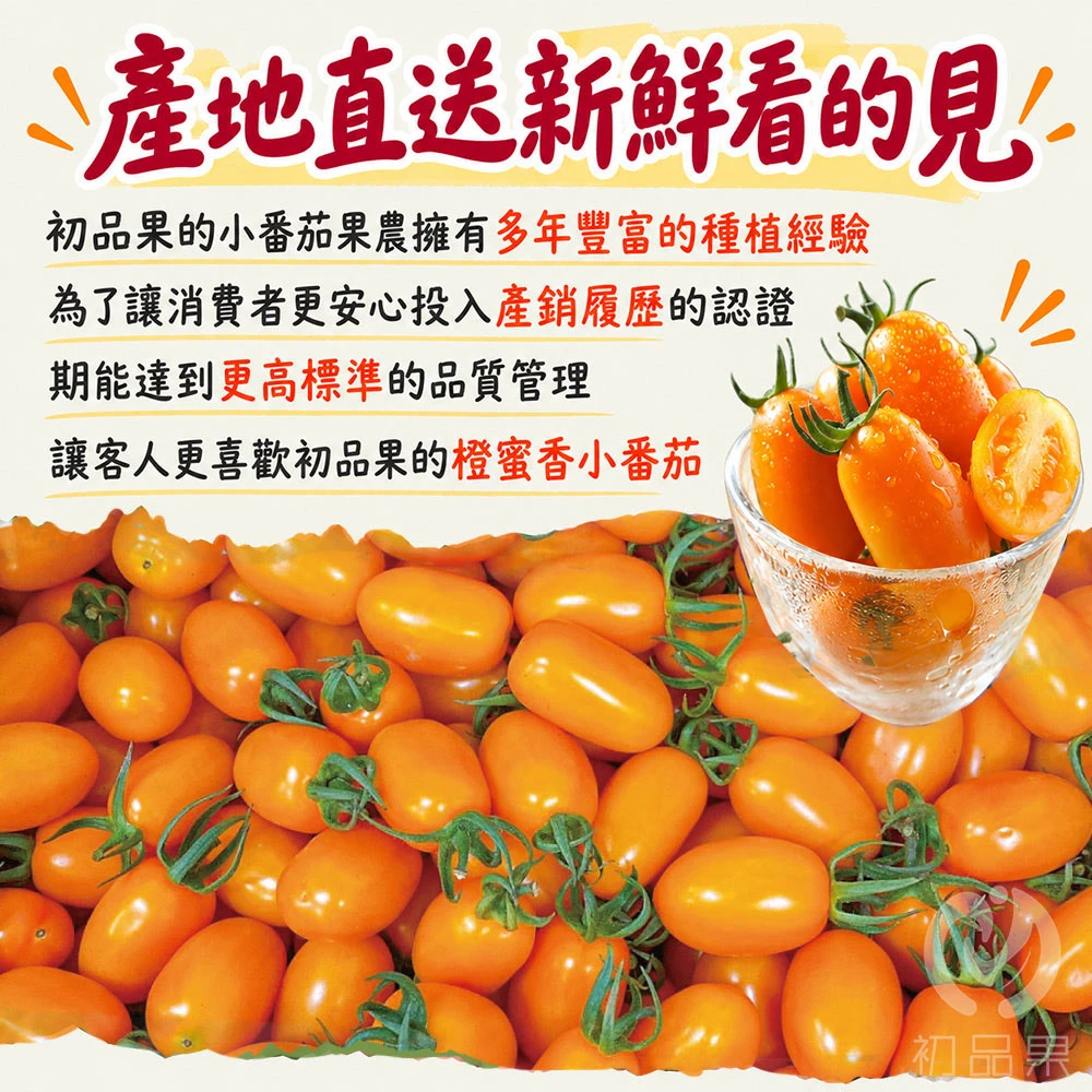 高雄美濃橙蜜香小番茄禮盒4斤  1盒/2盒/4盒/6盒  預購12/15開始陸續出貨