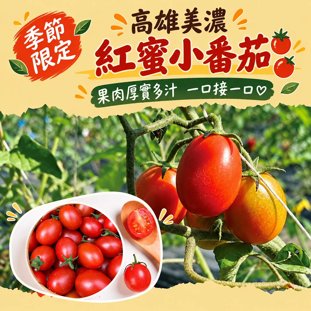 高雄美濃紅蜜小番茄禮盒3斤  1盒/2盒/4盒/8盒 預購12/15開始陸續出貨